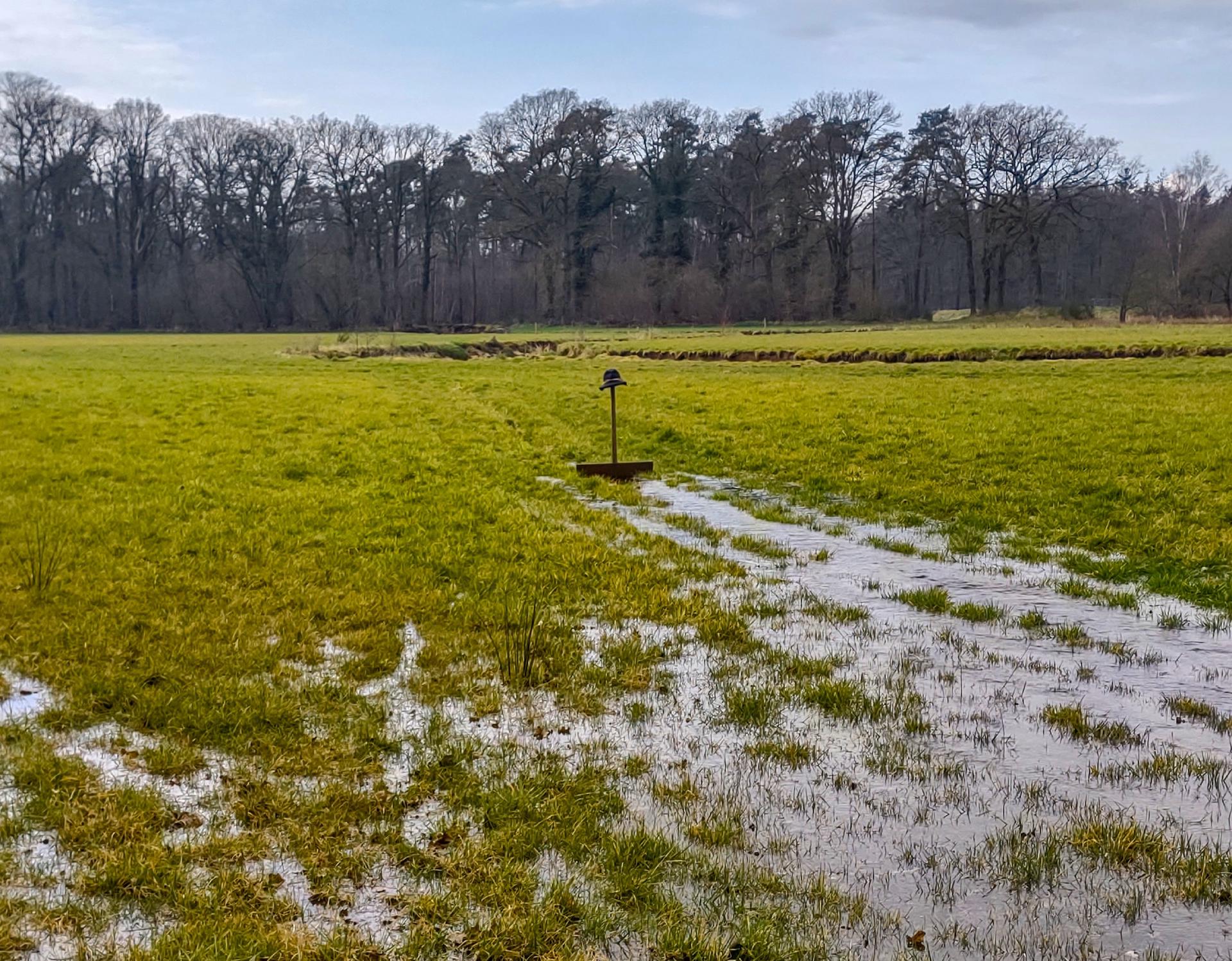 Een groen weiland dat gedeeltelijk onder water staat met plassen water verspreid over het gras. In het midden van het veld staat een zogenaamde kroef. Op de achtergrond is een bosrand te zien met kale bomen die een dichte lijn vormen tegen een lichtblauwe lucht met wat wolken. Het gebied overstroomt vanwege het bevloeien.
