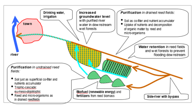 grafische weergave van het project